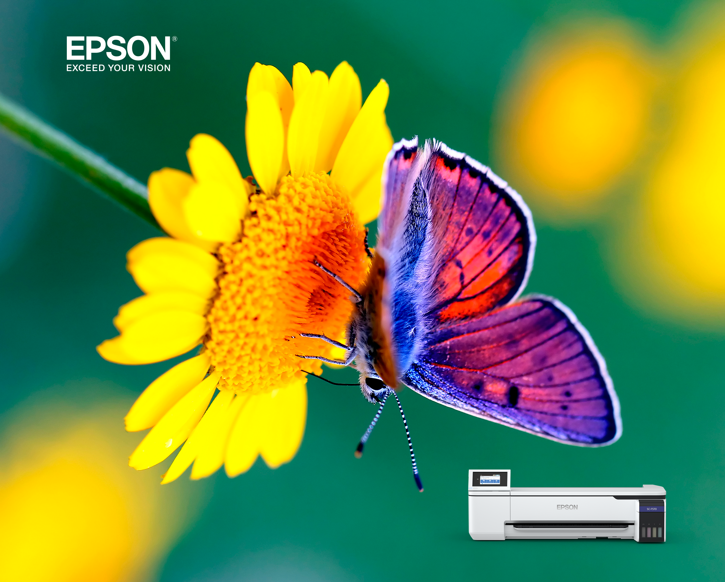 Epson Dye Sublimation SC-F570 Butterfly ChromaLuxe - A detailed butterfly image on ChromaLuxe metal print created with the Epson F570 printer